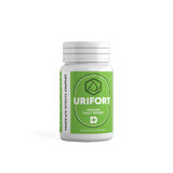 Urifort, 60 capsules, Regenswiss Pharma