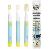 Vitammy Buzz Sonic Tandenborstel met 28.000 microbewegingen, 2 reinigingsprogramma's, Mint/Citron 1×1 pc, elektrische tandenborstel