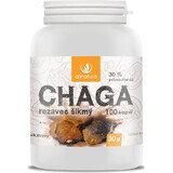 Allnature Chaga 1×100 cps, voedingssupplement