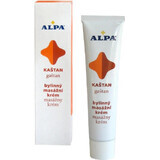 ALPA GASHTAN CREAM 1×40 g, kruidenmassage