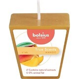 Bolsius Aromatic 2.0 Votive Mango, geurkaars 1×1 st, maat 48 mm