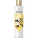 PANTENE MOLECUL.BOND REP.SHP BIOT.PRO-V 250ML 1×250 ml, shampoo voor beschadigd haar