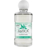 AMICA GAFRRA LOTION 1×60 ml, lotion