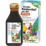 SALUS Floradix Floradix Kindervital fruitig 1×250 ml, kruidensiroop