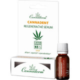 Cannaderm CANNADENT regenererend serum 1×5 ml, regenererend serum