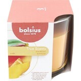 Bolsius Aromatic 2.0 Apple Cinammon Bougie en verre parfumée 1×1 pc, taille 95 x 95 mm