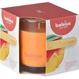 Bolsius Aromatic 2.0 Mango Geurkaars Fles 1×1 st, 95 x 95 mm