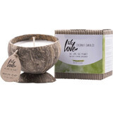 WE LOVE THE PLANET SOY CANDLE KO D.DELIGHT 190G 1×190g, bougie de soja