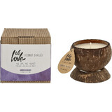 WE LOVE THE PLANET SOY CANDLE KO C.COCO C.COCO 190G 1×190g, bougie de soja