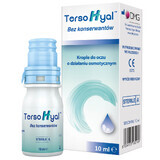 TersoHyal eye drops 10 ml