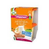 Plasmon Milk Dessert, ciocolată, după 6 luni, 2 x 120 g