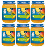 Set de desserts Gerber, fruits tropicaux avec tapioca, après 6 mois, 6 x 190 g