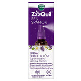 ZzzQuil Slaap, spray, 30 ml