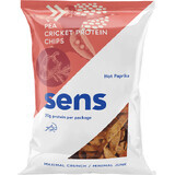 Sens Protein Chips mit Grillenprotein - Mohn und Meersalz 80g