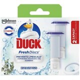 Duck Fresh Discos Recambio Inodoro Eucalipto 2 x 36 ml