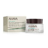 Time to Smooth Age Control Anti-Wrinkle Day Moisturizer SPF 20, 50 ml, Ahava