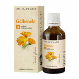 Goudsbloemextract, 50 ml, Dacia Plant