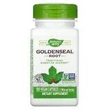 Goldenseal Rott, 30 capsule, Natures Way