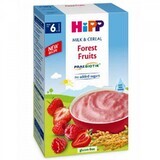 Milch und Cerealien mit Beeren, +6 Monate, 250 gr, Hipp