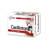 Cardioton, 40 Kapseln, FarmaClass