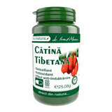 Tibetaanse Katina, 60 capsules, Pro Natura