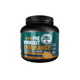 Pre Workout Ausdauer Orange, 300 gr, Gold Nutrition