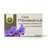 Plamanarica Thee, 20g, Hypericum