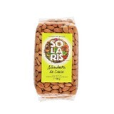 Amandes d'Abricots, 300 g, Solaris