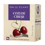 Tisane de queues de cerises, 50g, Dacia Plant