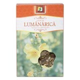 Ceai de lumanarica, 50 g, Stef Mar