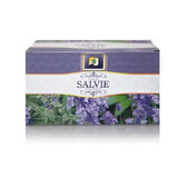 Sage tea, 20 sachets, Stef Mar Valcea