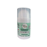 Deodorant Bio Roll On cu Menta Verde, 50 ml, Born to Bio