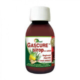 Gascure siroop, 100 ml, Ayurmed