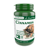 Cinnamon, 60 capsule, Pro Natura