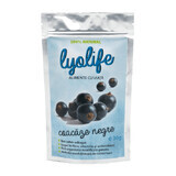 Lyolife gevriesdroogde zwarte bessen, 30 g, Lifesense