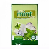 Menthol patch, 1 piece x 12x18cm, Henan Kangdi Medical Devices