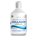 Collagene liquido idrolizzato di tipo 1, 2 e 3 Active Life 5000mg, 500ml, Swedish Nutra