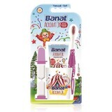 Set acrobat junior brush + paste + glas + zandloper, Banat