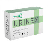 Urinex, 24 softgels, Pharco