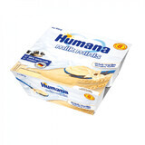 Grijze pudding met biscuits, +8 maanden, 4x100 g, Humana