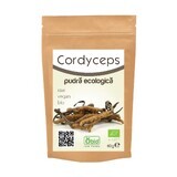 Cordyceps ruw poeder, 60 g, Obio