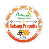 Naturalis Propolis Balm x 20 g