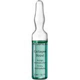 Fiala Collagen Boost, 3 ml, Dr. Grandel