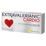 Extravaleriaan Cardio, 15 capsules, Biofarm