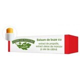 Balsam de buze cu extract de propolis, morcov si catina 4.8 g, Verre de Nature