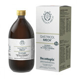 Decottopia® Gastricol Mech® Gianluca Mech® 500ml