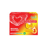 Coenzima Q10 + Omega 3, 30 capsule, Naturalis 