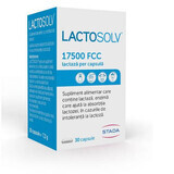 Lactosolv, 30 gélules, Sciotec