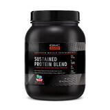 Gnc Amp Sustained Protein Blend Mélange de protéines avec saveur de grains fruités, 910 g