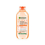 Garnier Skin Naturals Micellair Reinigingswater, 400 ml, 400 ml